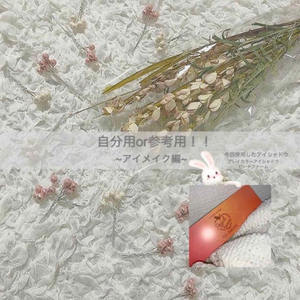 プレイカラー アイシャドウ/ETUDE/アイシャドウパレットを使ったクチコミ(1枚目)