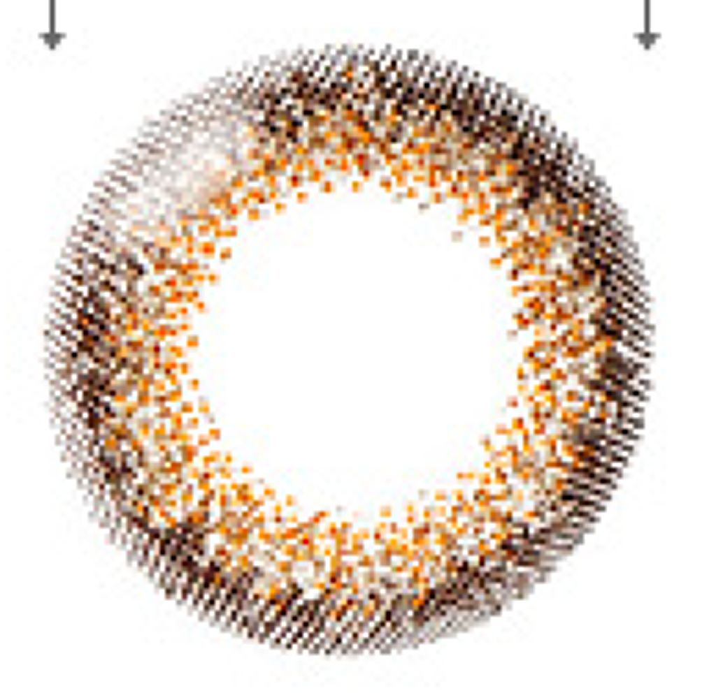 シエルブラウン