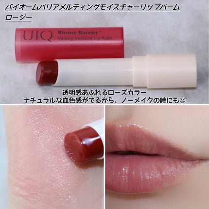 バイオームバリアメルティングモイスチャーリップバーム/UIQ/リップバームを使ったクチコミ(5枚目)