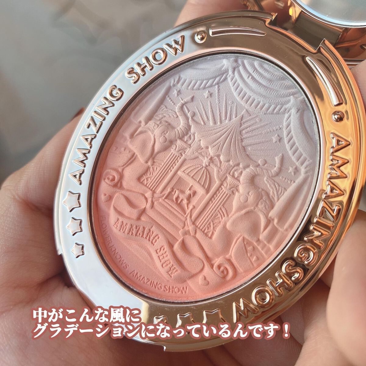 サーカスシリーズ グラデーションブラッシュ /FlowerKnows/パウダーチークを使ったクチコミ(3枚目)