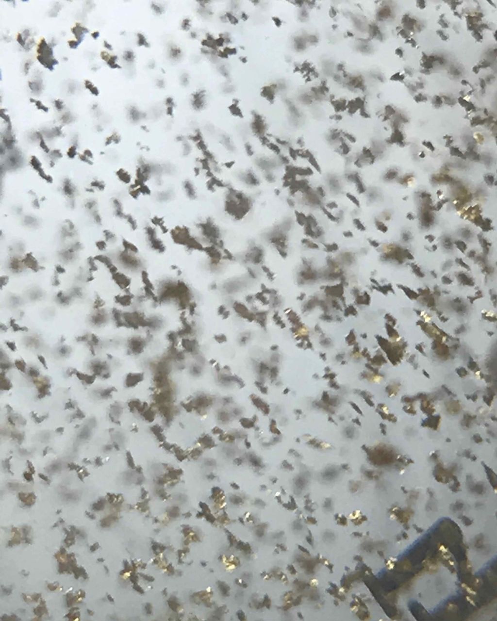 リアルスキンモイスチャーベース/Witch's Pouch/化粧下地を使ったクチコミ（3枚目）