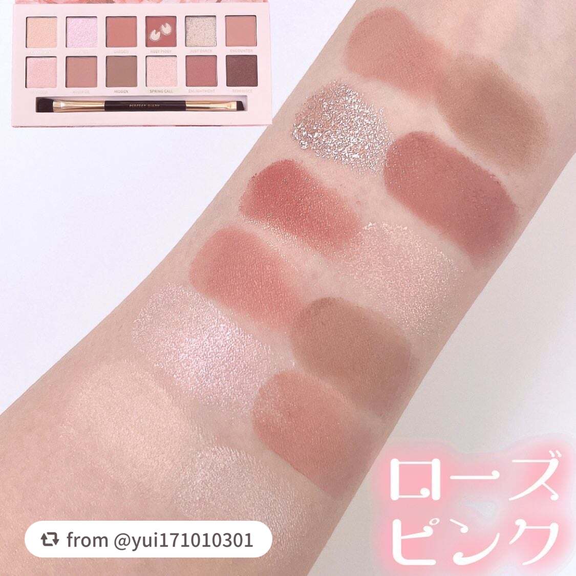 エクスプローラ12色 動物アイシャドウパレット/PERFECT DIARY/アイシャドウパレットを使ったクチコミ(5枚目)