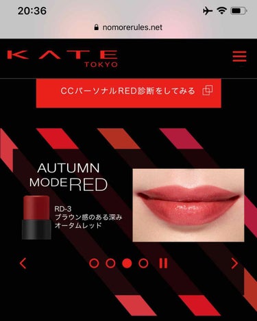 KATEのCCパーソナルリップクリーム
"RED"オータム向け

⚠︎3枚目肌のフィルターありですか、唇の色は影響ありませんでした！無加工と比べたので

めっちゃいい
ccパーソナルリップクリームは前か