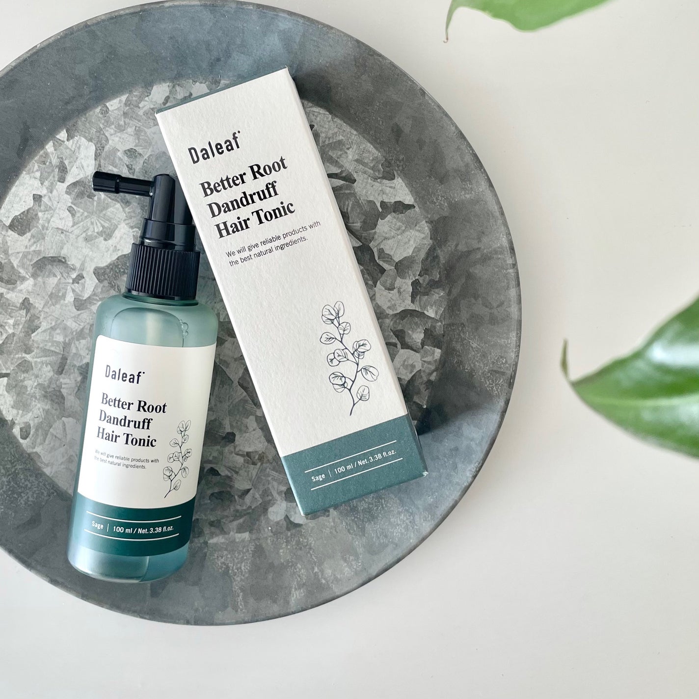 ベタールート ダンドラフ ヘアトニック/Daleaf/頭皮ローションを使ったクチコミ(1枚目)