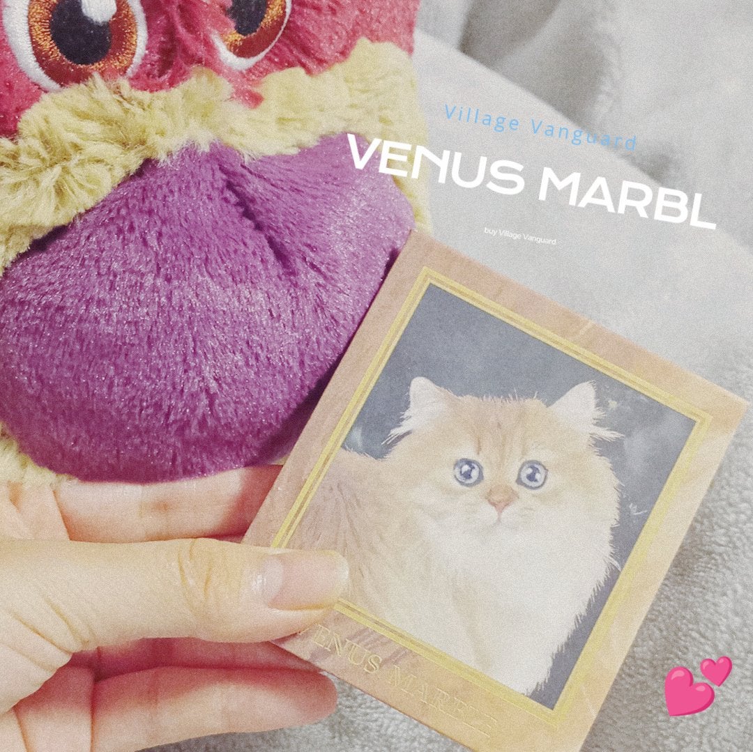 Venus Marble アイシャドウキャットシリーズ/Venus Marble/アイシャドウパレットを使ったクチコミ(1枚目)