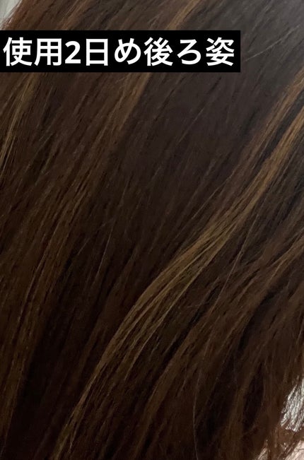 カラーシャンプー/チャージ チャージ/ブラウン/SOMARCA/サロンシャンプーの画像