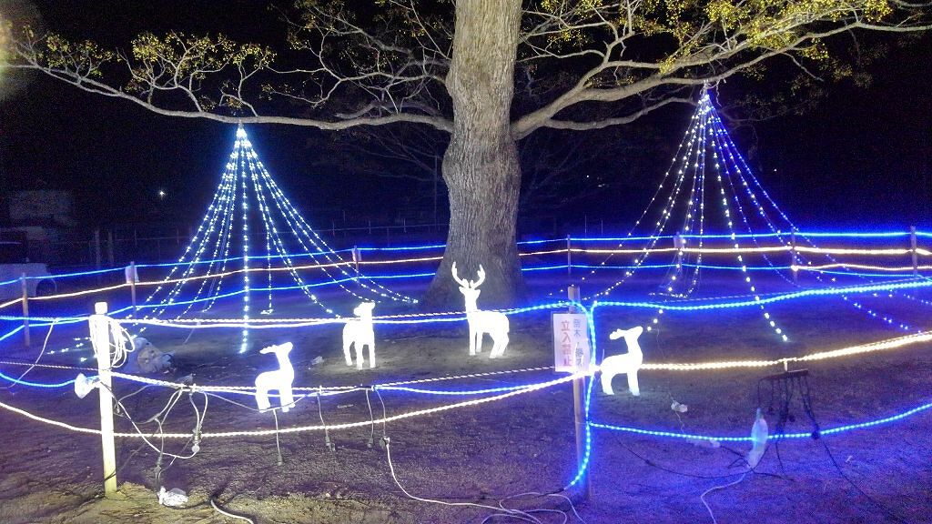 マジョロマンティカ/MAJOLICA MAJORCA/香水(レディース)を使ったクチコミ(2枚目)