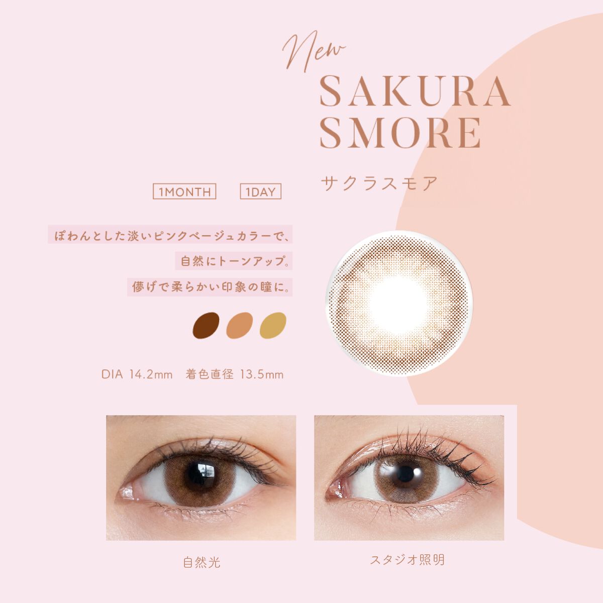 MOLAK 1month サクラスモア