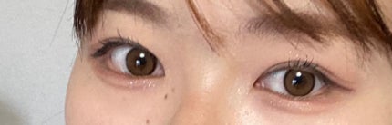 ウォンジョンヨ W デイリームードアップパレット /Wonjungyo/アイシャドウパレットを使ったクチコミ(2枚目)