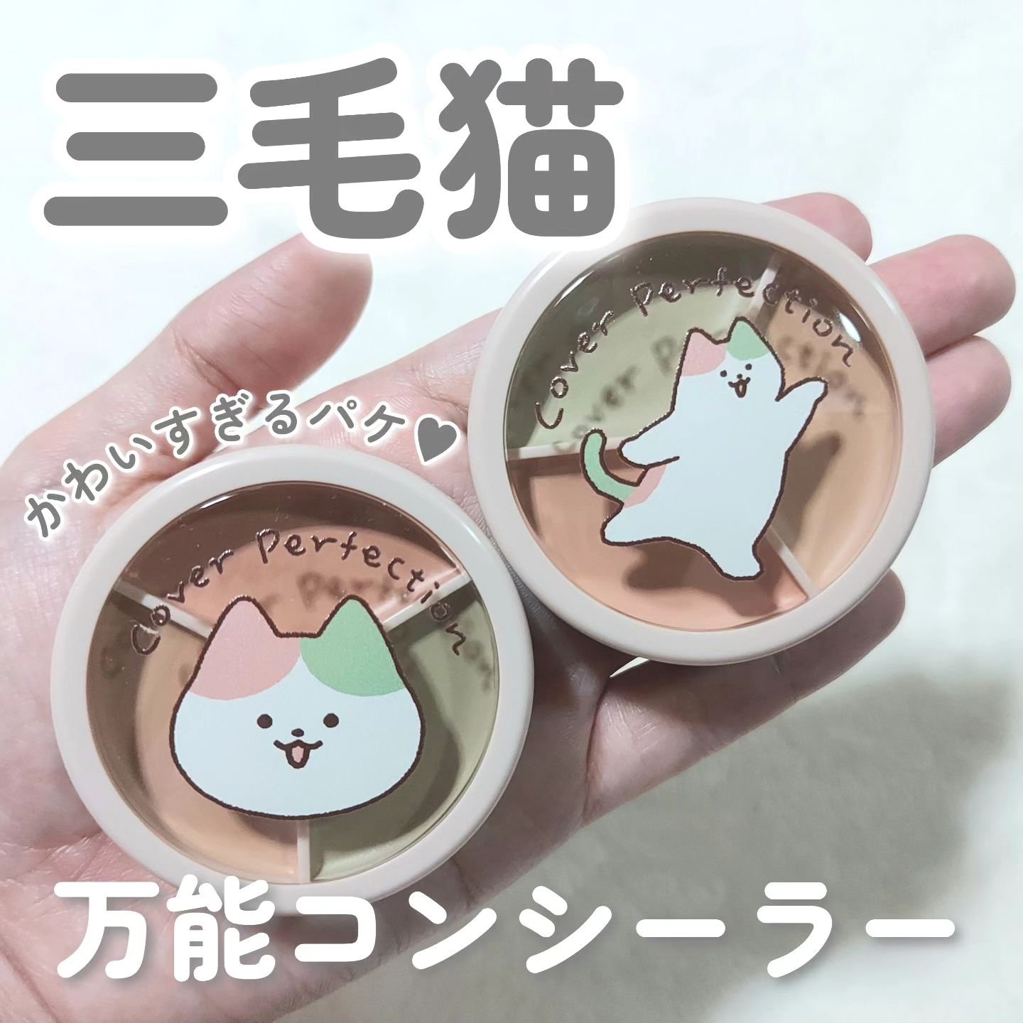 カバーパーフェクション トリプル ポット コンシーラー/the SAEM/パレットコンシーラーを使ったクチコミ（1枚目）