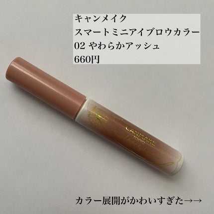 スマートミニアイブロウカラー/キャンメイク/眉マスカラを使ったクチコミ(3枚目)
