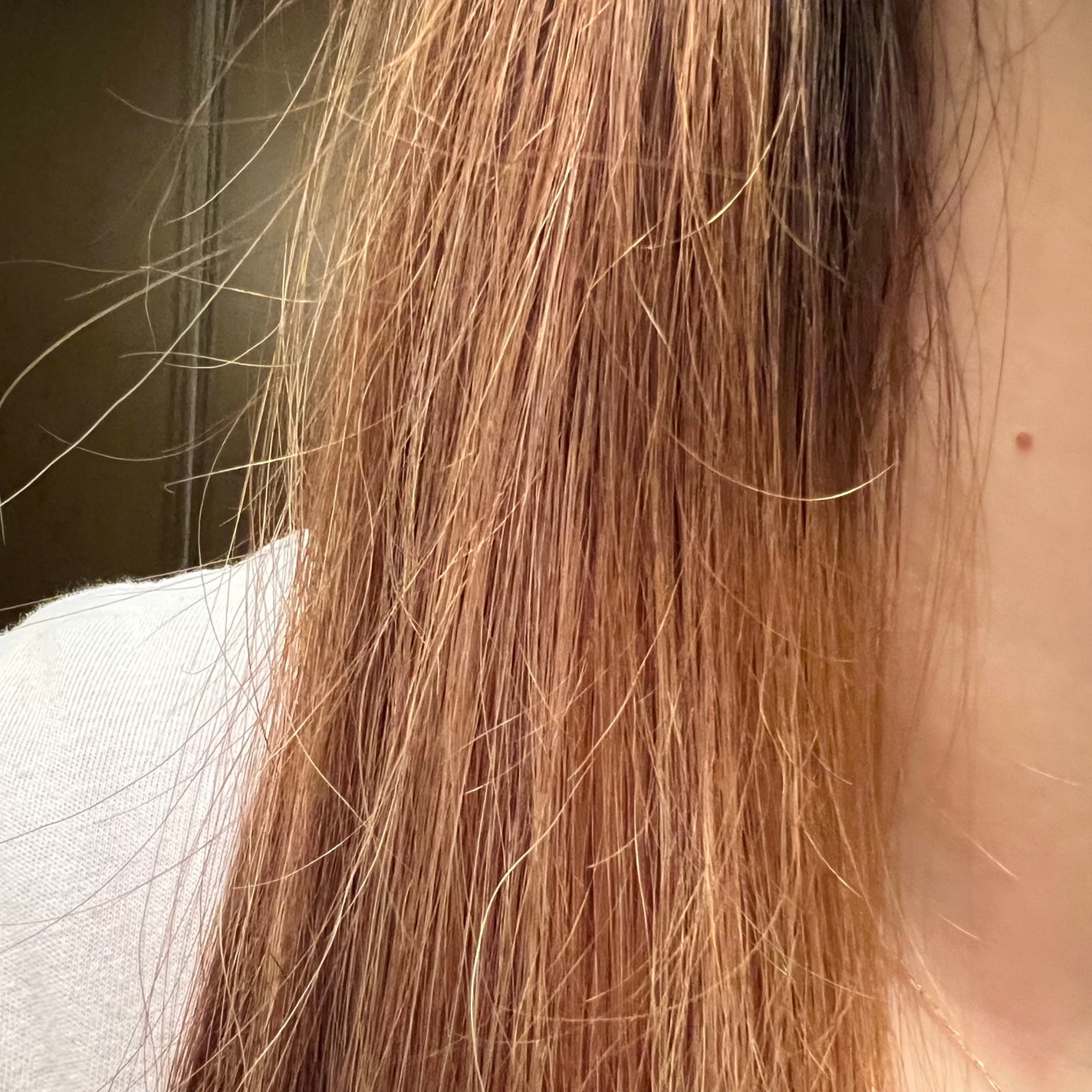 ザ・オリジナル ノーマル/TANGLE TEEZER/ヘアブラシを使ったクチコミ(2枚目)