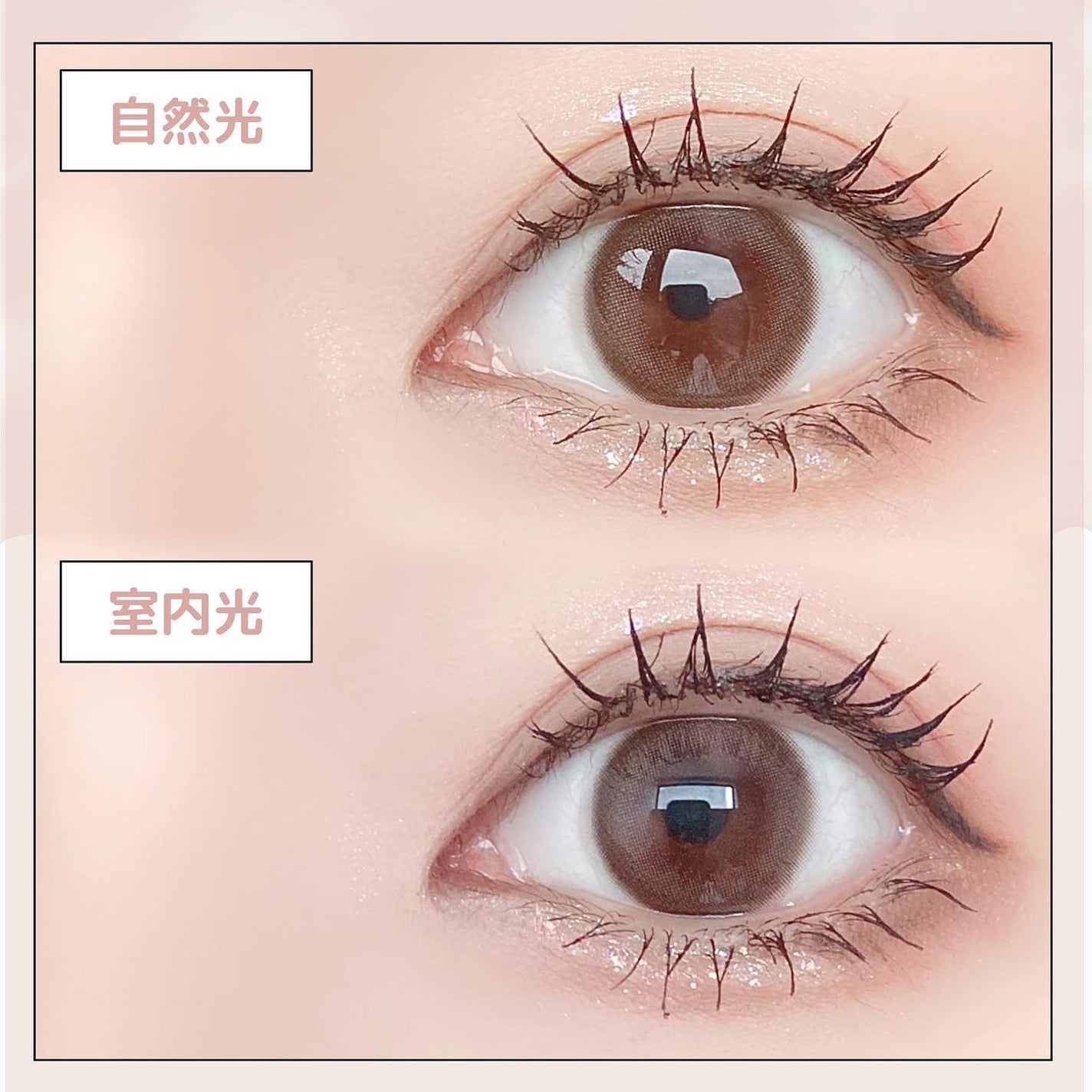 TOPARDS 1day/TOPARDS/ワンデー(1DAY)カラコンを使ったクチコミ(3枚目)