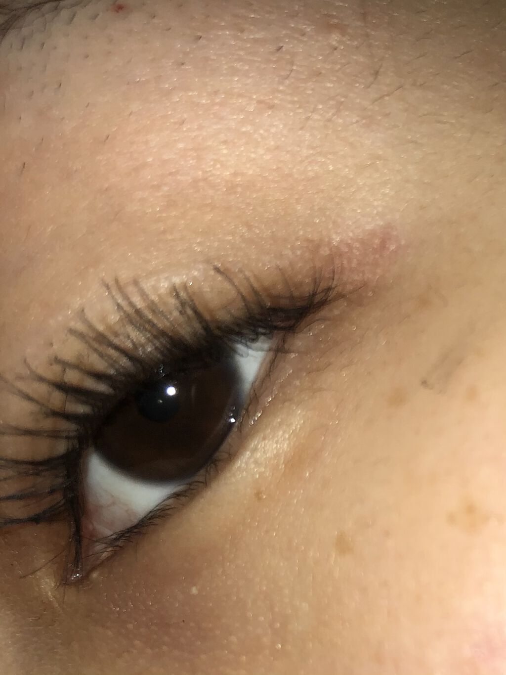 サプライズロングマスカラ ブラック/1Dayマツエク/マスカラを使ったクチコミ（1枚目）