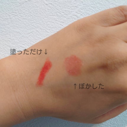 口紅(詰替用)/ちふれ/口紅を使ったクチコミ(1枚目)