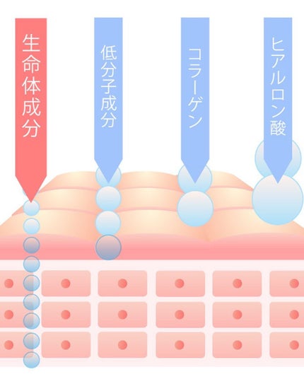 リペアジェル/リソウコーポレーション/美容液を使ったクチコミ(6枚目)