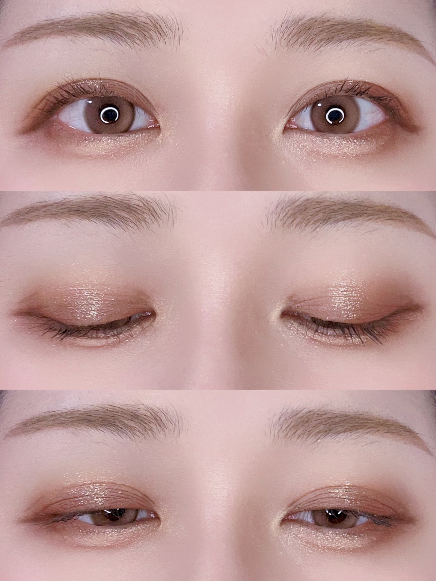 エクスプローラ12色 動物アイシャドウパレット/PERFECT DIARY/アイシャドウパレットを使ったクチコミ(2枚目)