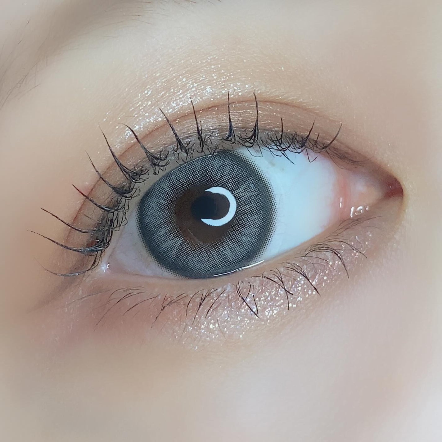 pui @カラコンオタク on LIPS 「-̗̀ハパクリスティン新作虹彩カラコン̖́-𓂃𓂃𓂃𓂃𓂃𓂃𓂃𓂃𓂃..」(4枚目)