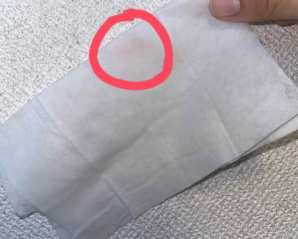 メイクブラシ洗浄用シート スピードオフクリーナー/ネサンス/その他化粧小物を使ったクチコミ(2枚目)