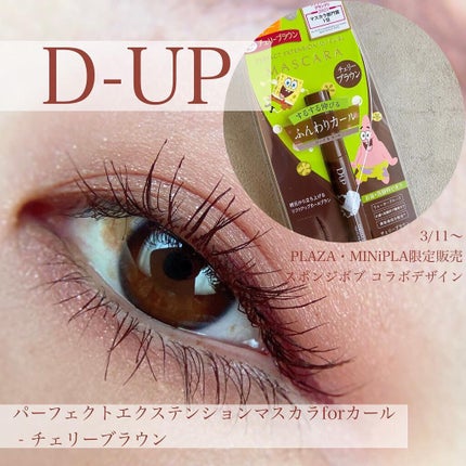 パーフェクトエクステンション マスカラ for カール/D-UP/マスカラを使ったクチコミ(1枚目)