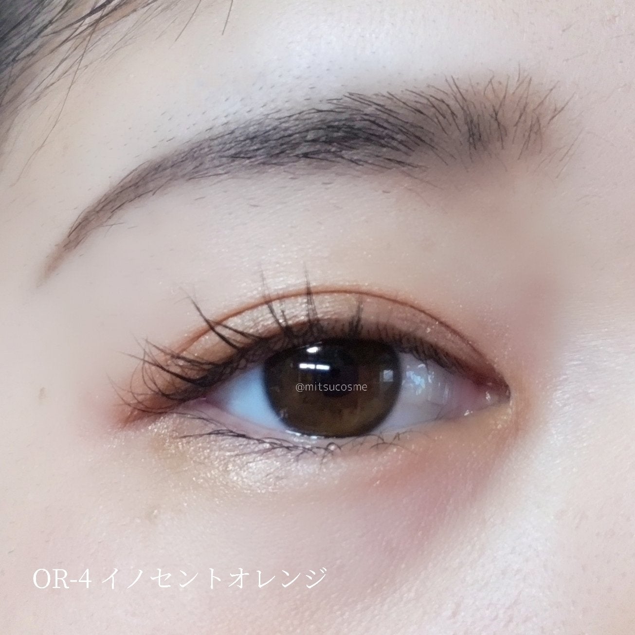 ニュアンス デューイ クリエイター/Visée/アイシャドウパレットを使ったクチコミ(5枚目)