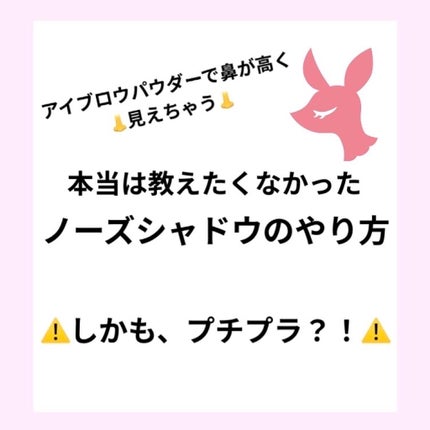 ノーズ&アイブロウパウダー/CEZANNE/パウダーアイブロウを使ったクチコミ(1枚目)