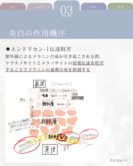 elan_lotus on LIPS 「カモミラET|植物由来の美白有効成分🌿カミツレ、カモミールとい..」(4枚目)