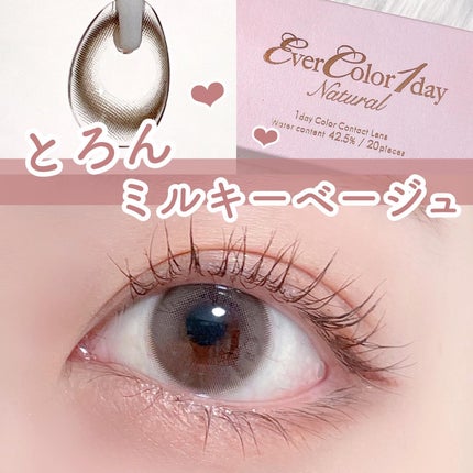 エバーカラーワンデー ナチュラル/エバーカラー/ワンデー(1DAY)カラコンを使ったクチコミ(1枚目)