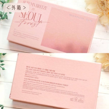 プロ アイ パレット/CLIO/アイシャドウパレットを使ったクチコミ(6枚目)