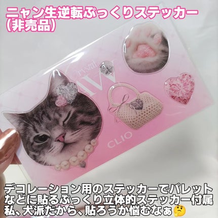 プロ アイ パレット エアー/CLIO/アイシャドウパレットを使ったクチコミ(4枚目)