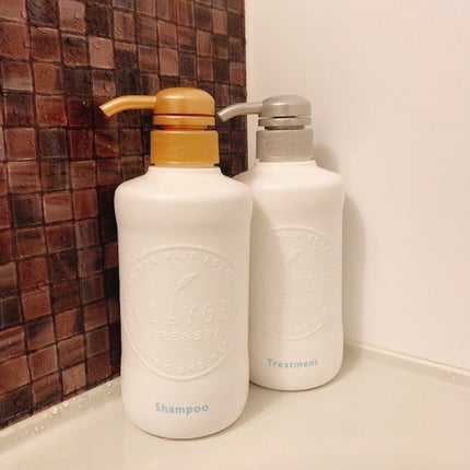 シャンプー/トリートメント SN さらさら/CLAYGE/シャンプー・コンディショナーを使ったクチコミ(1枚目)