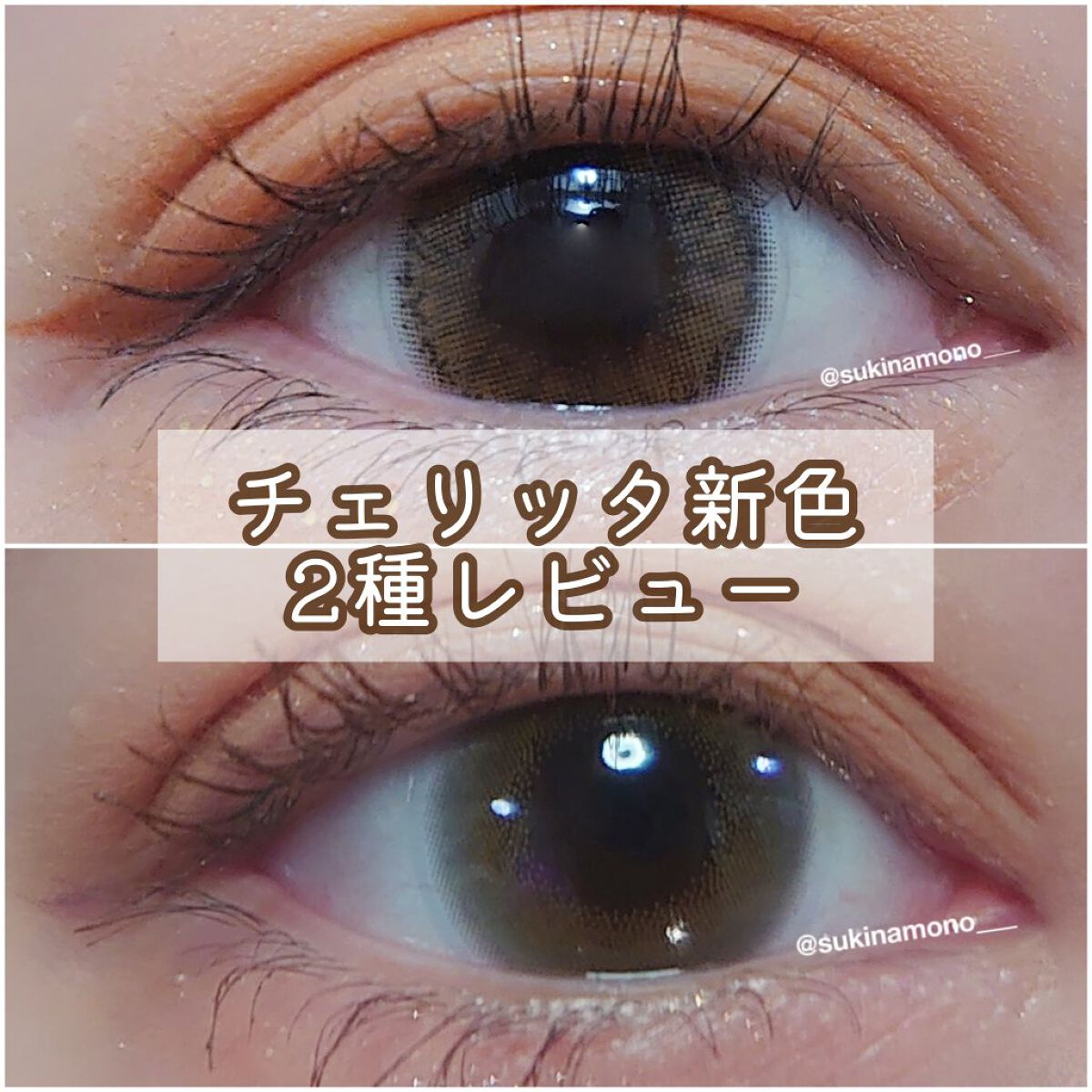 Cheritta 1day パピーブラウン(Puppy Brown)/Cheritta/ワンデー（１DAY）カラコンを使ったクチコミ（1枚目）