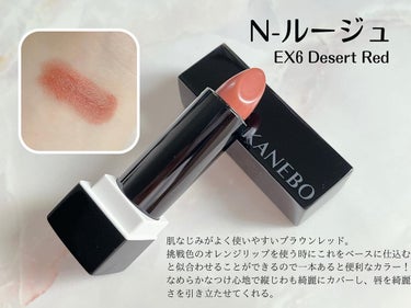 ティントリップコート EXL3 Be the Change（限定）/KANEBO/リップグロスを使ったクチコミ（3枚目）