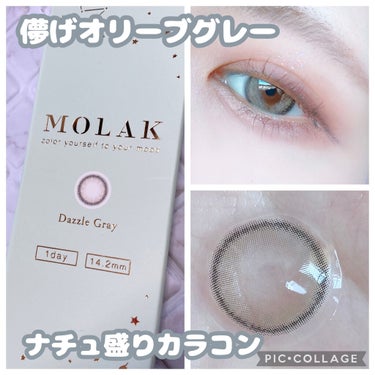 MOLAK 1day ダズルグレー/MOLAK/ワンデー（１DAY）カラコンを使ったクチコミ（1枚目）