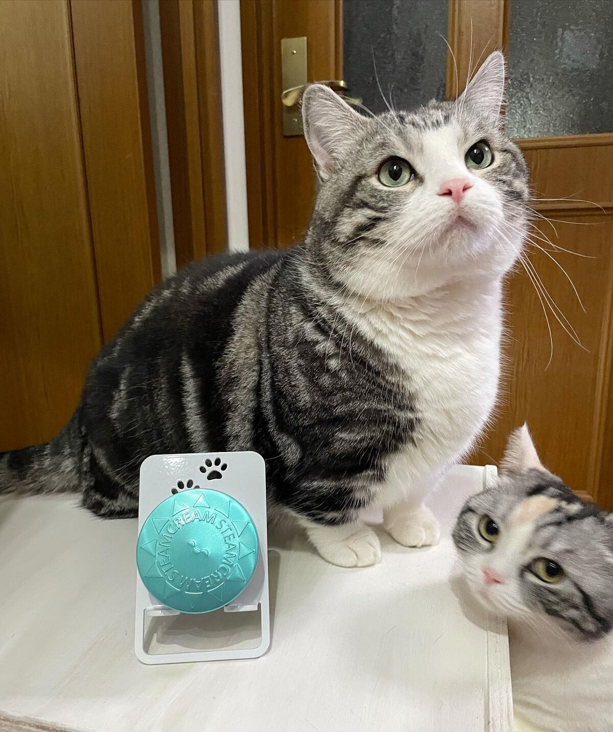 スチームクリーム UVプロテクション 33 ハッカ&アロエ/STEAMCREAM/日焼け止めクリームを使ったクチコミ(1枚目)