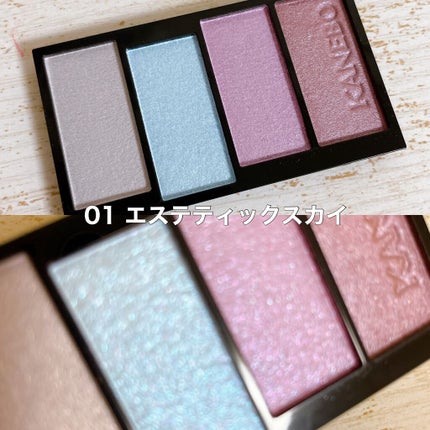 カネボウ Nールージュ/KANEBO/口紅を使ったクチコミ(2枚目)