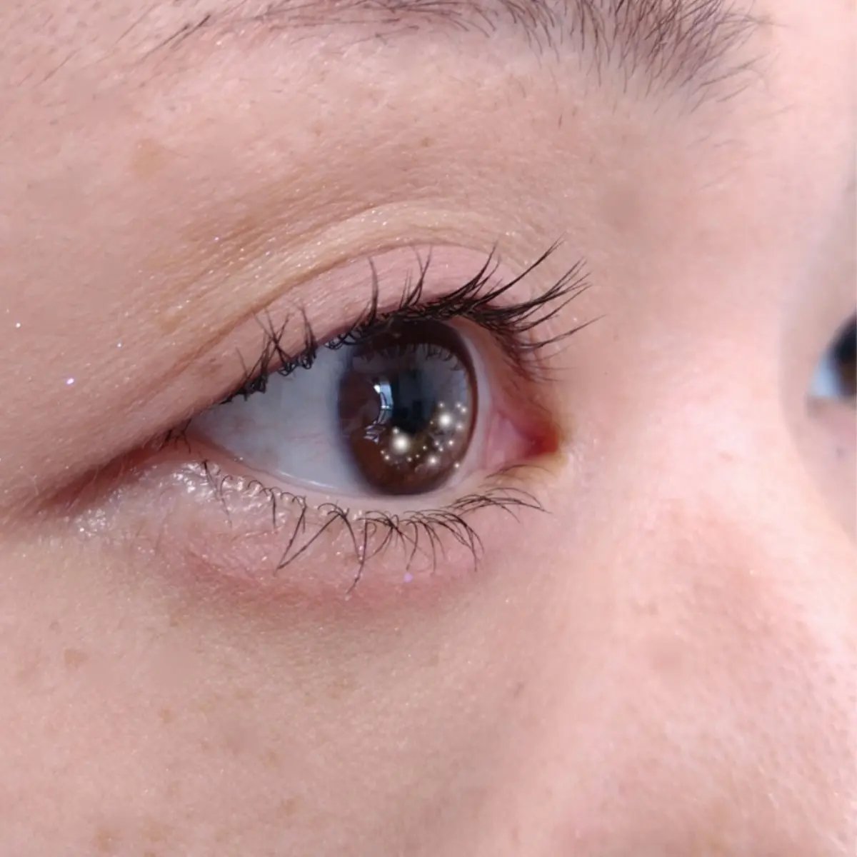 ピメル うそつきマスカラ/pdc/マスカラを使ったクチコミ（3枚目）