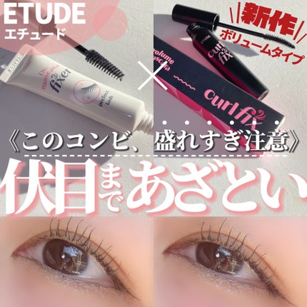 マスカラフィクサー パーフェクトラッシュ/ETUDE/マスカラ下地を使ったクチコミ(1枚目)