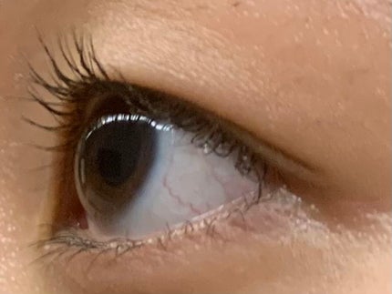 クイックラッシュカーラー/キャンメイク/マスカラ下地を使ったクチコミ(2枚目)