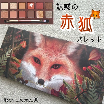 エクスプローラ12色 動物アイシャドウパレット/PERFECT DIARY/アイシャドウパレットを使ったクチコミ(1枚目)