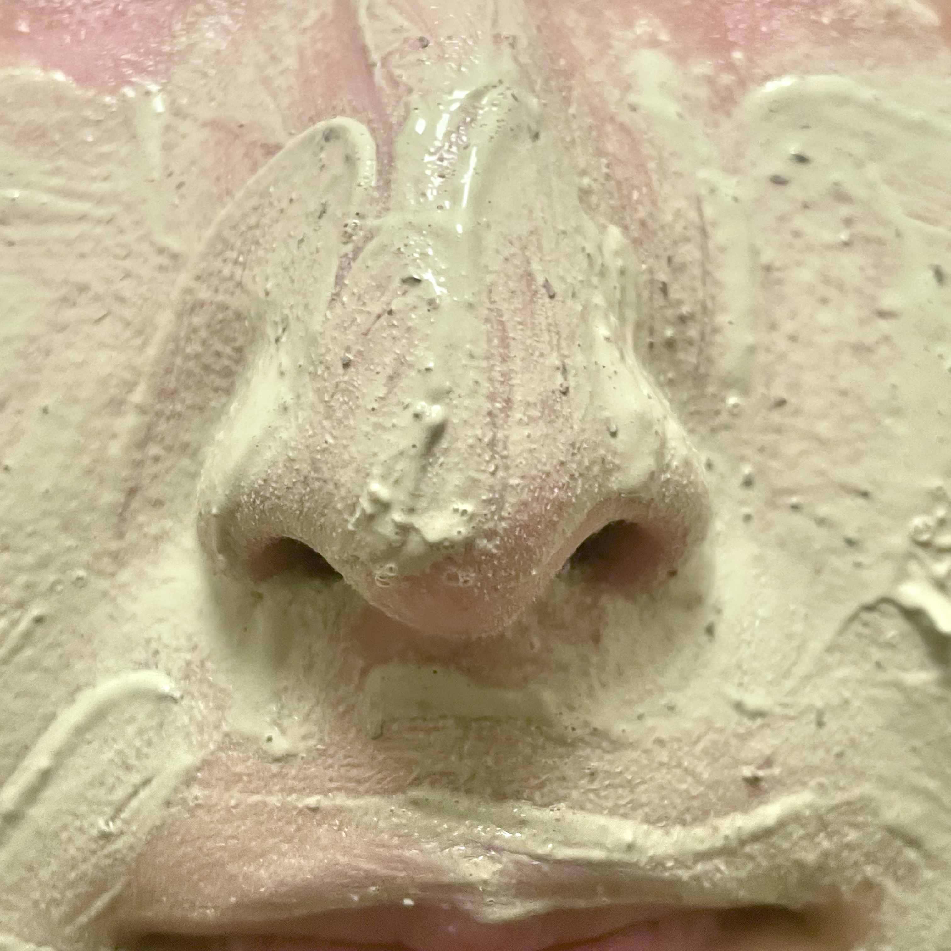 グリーントマトクレイマスククレンザー/FULLY/洗い流すパック・マスクを使ったクチコミ（2枚目）