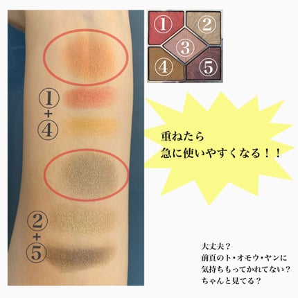 サンク クルール クチュール<バーズ オブ ア フェザー>/Dior/アイシャドウパレットを使ったクチコミ(4枚目)
