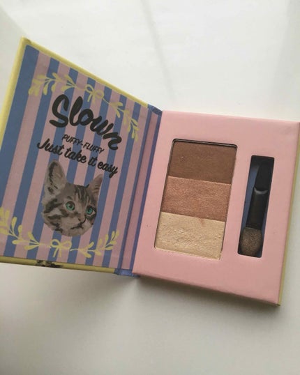 ESAアイシャドウ/SHOBIDO/アイシャドウパレットを使ったクチコミ(2枚目)