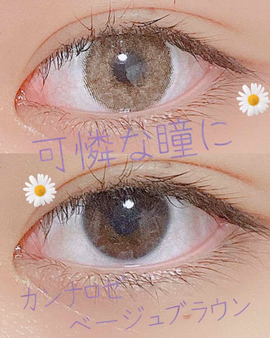 CANNA ROZE 1year/URIA i-DOL/カラーコンタクトレンズを使ったクチコミ(1枚目)