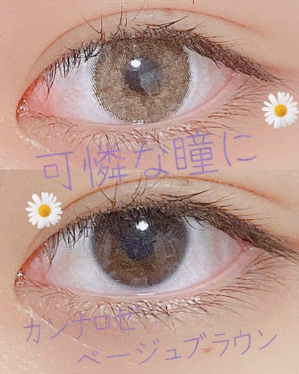 CANNA ROZE 1year/URIA i-DOL/カラーコンタクトレンズを使ったクチコミ(1枚目)