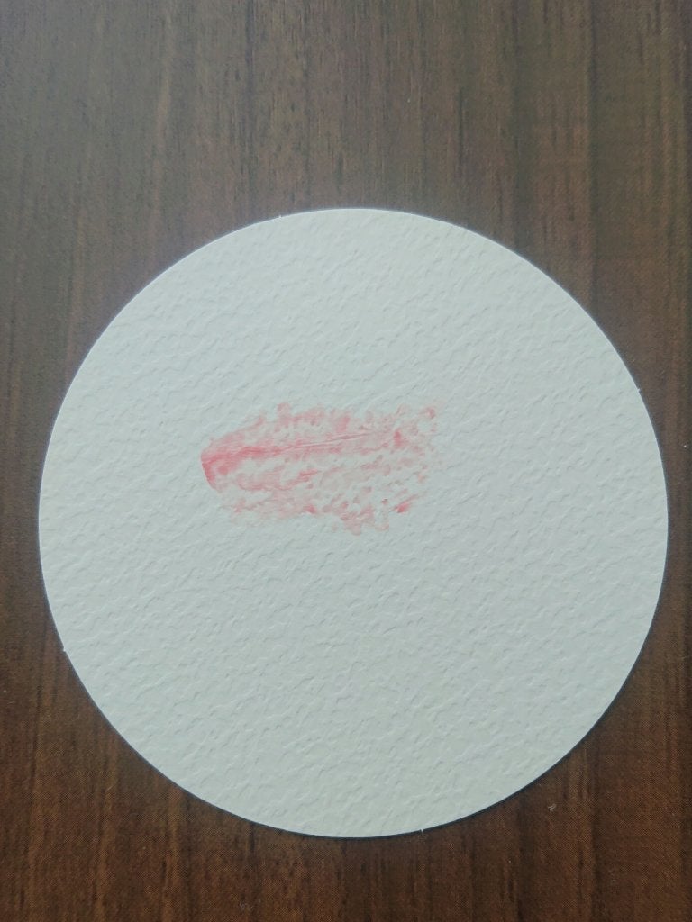 プランプリップケアスクラブ/キャンメイク/リップスクラブを使ったクチコミ(1枚目)