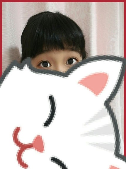 ミックスカラーチーク/CEZANNE/パウダーチークを使ったクチコミ(1枚目)