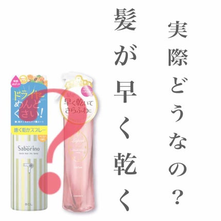 クイックブローミスト/ラピーネ/ヘアミストを使ったクチコミ(1枚目)