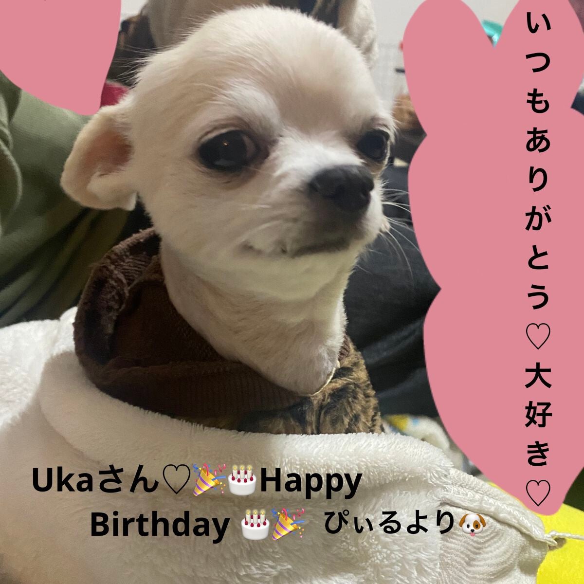 カラフルネイルズ/キャンメイク/マニキュアを使ったクチコミ(5枚目)