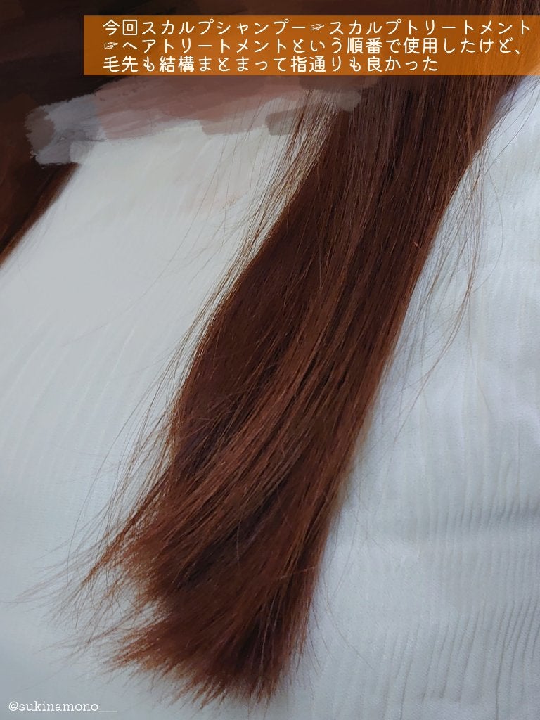 スカルプシャンプー/ トリートメント タイプ DS/DEMI DO/サロンシャンプーを使ったクチコミ(5枚目)
